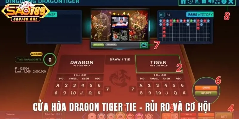 Cửa Hòa Dragon Tiger Tie ẩn chứa rủi ro nhà cái cao