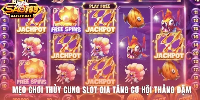 Mẹo chơi Thủy Cung Slot áp dụng chiến thuật quản lý vốn hiệu quả